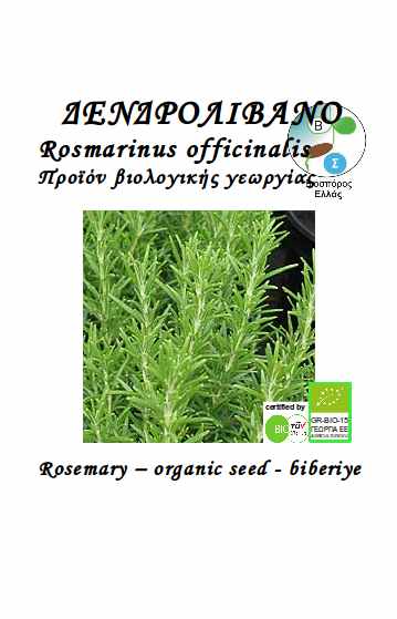 Rosmarino Rosmarinus officinalis (semente biologica)