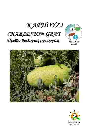 Watermelon Charleston Gray (organic seed)